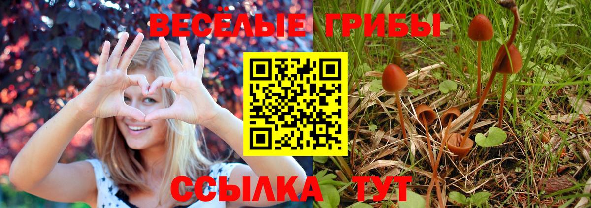 Галлюциногенные грибы ЛСД Сургут