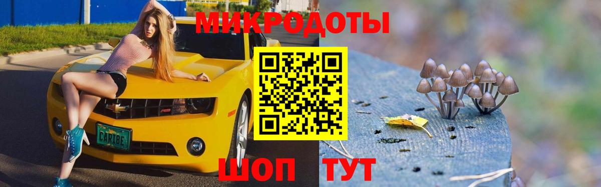 как найти закладки  Вход с VPN  Сургут  Псилоцибиновые грибы прущие грибы 